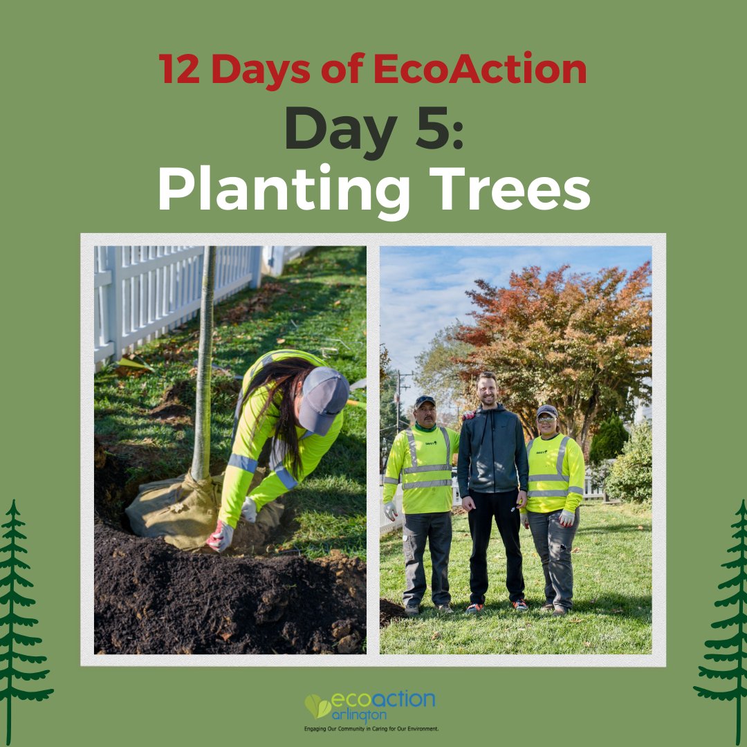 Trees are the living heart of Arlington County and this year we planted 397 trees and 99 shrubs. 

Applications for our spring 2024 Tree Planting Program are now available. Apply by midnight January 5, 2024 here: ecoactionarlington.org/community-prog…