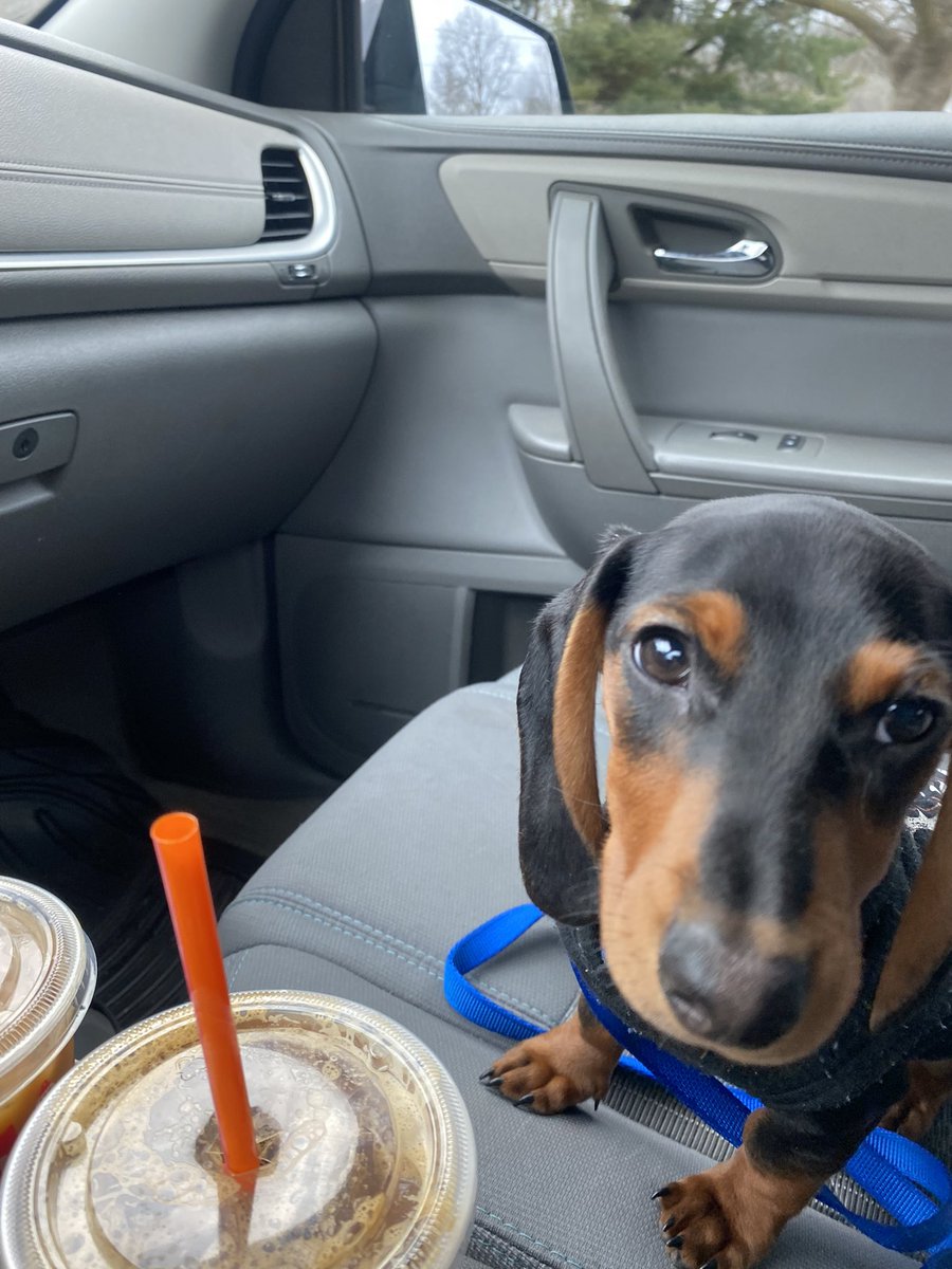 Ottis runs on Dunkin @dunkindonuts