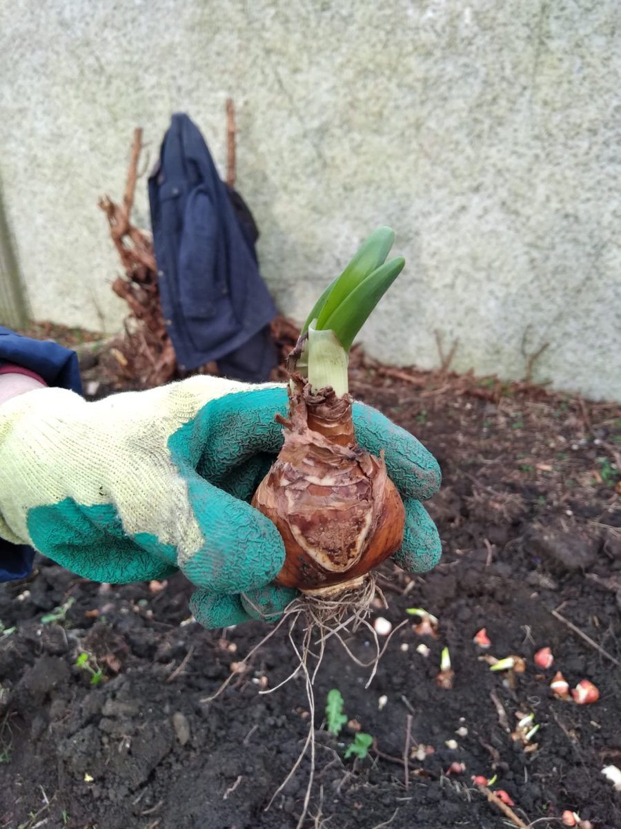 Artane Tidy Group tweet media