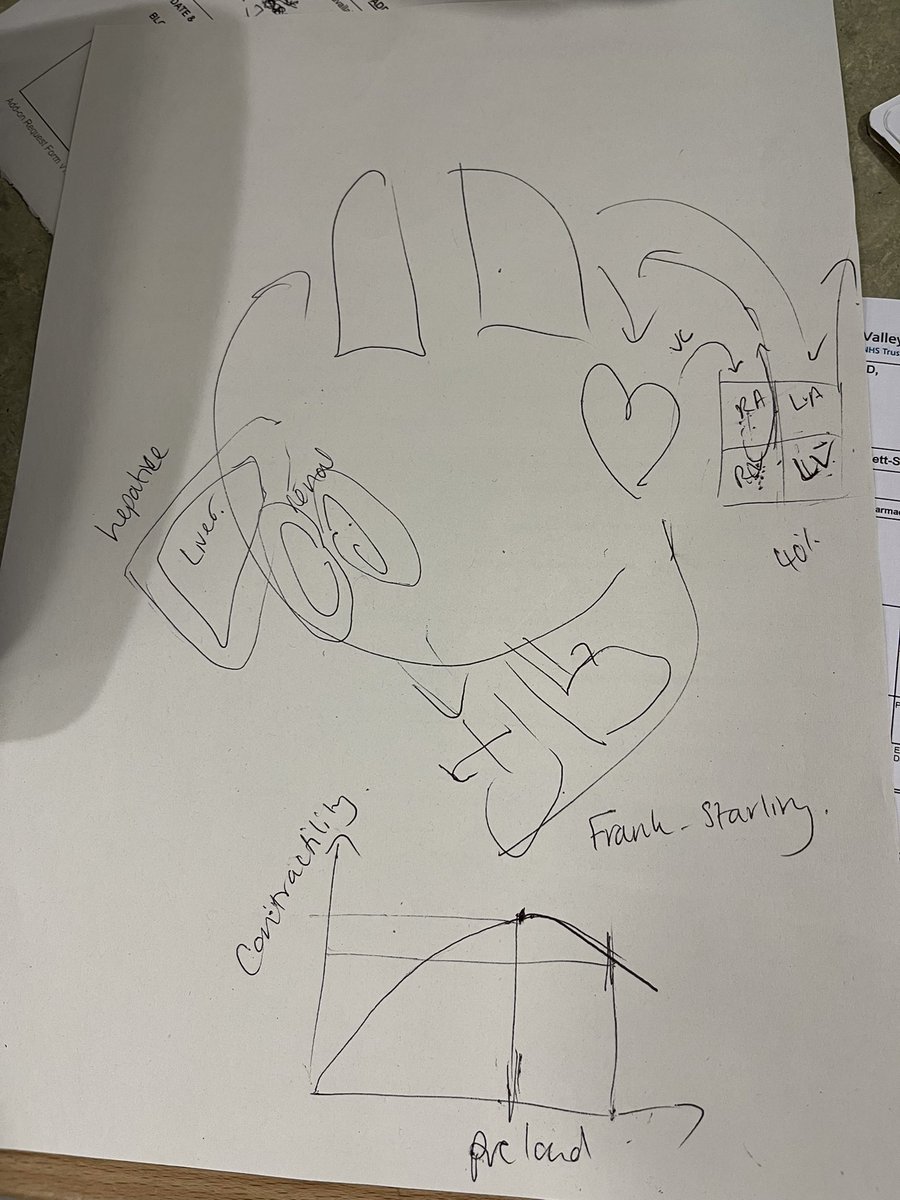 DaviesFfyon's tweet photo. Another mad explanation scribbled on the back on an XR request. Can you guess what this one was in answer to? 

Q from junior: can we give furosemide even if the blood pressure is low? 

A: hell yes we can. https://t.co/FUH51soxwc