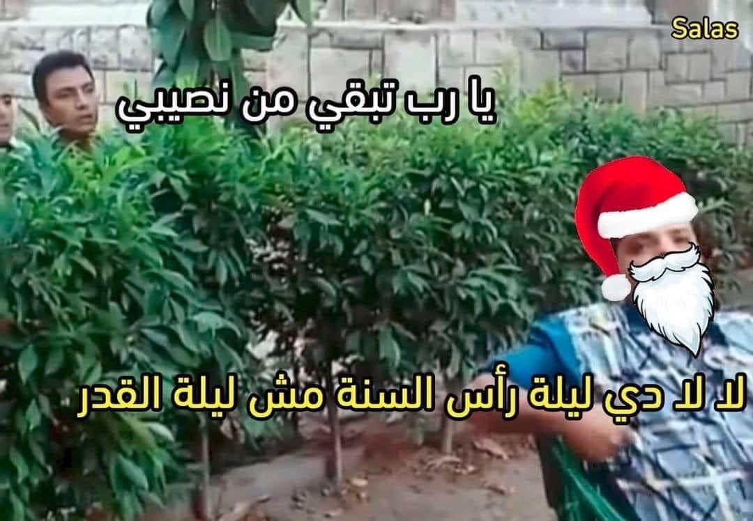 egymeme11's tweet photo. https://t.co/SFbIkgk5jb