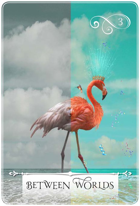 New Year New Me https://t.co/sm2MDszotS<a href="/tag/mvsales"class="tags"><span>#mvsales</span></a>