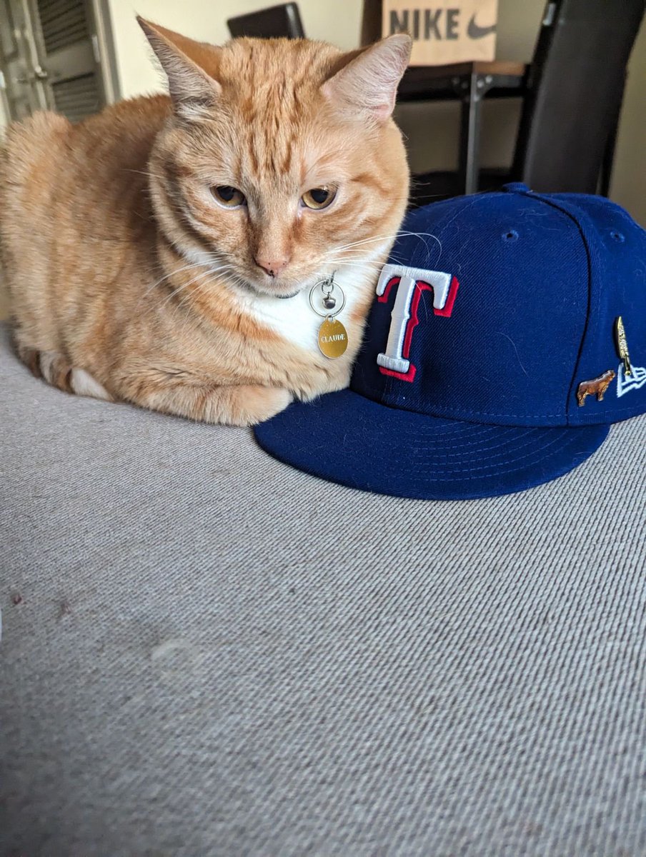 #Caturday pic of Claude Claiming his territory of Dad’s brand new Texas Rangers World Series hat. He has to touch everything. there may be a zomb under there to save Dad from. #CatsOfTwitter #ZSHQ