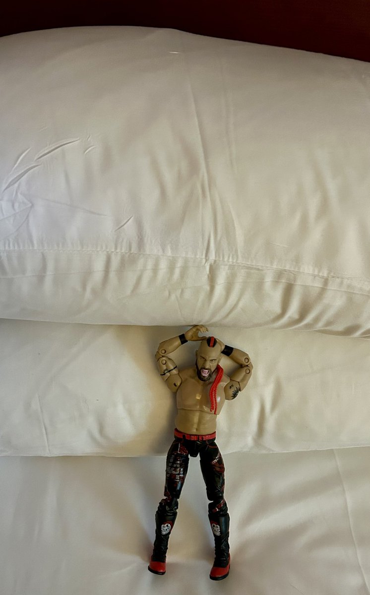 LanceHoyt's tweet image. #MiniHawk taking a Mini Break #roadlife