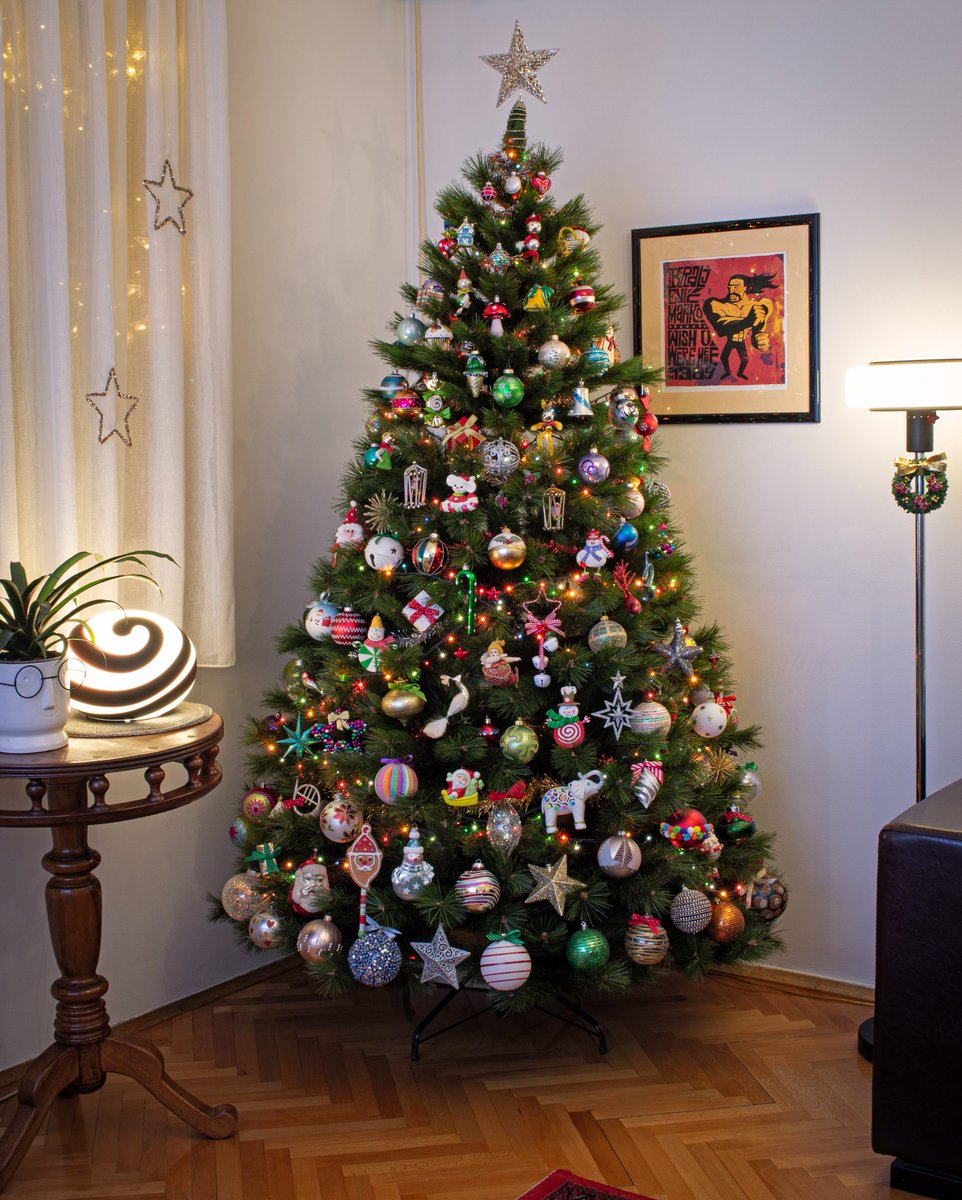 ginalash__'s tweet image. Kako mislim da izgledam kad se sredim vs kako zaista izgledam