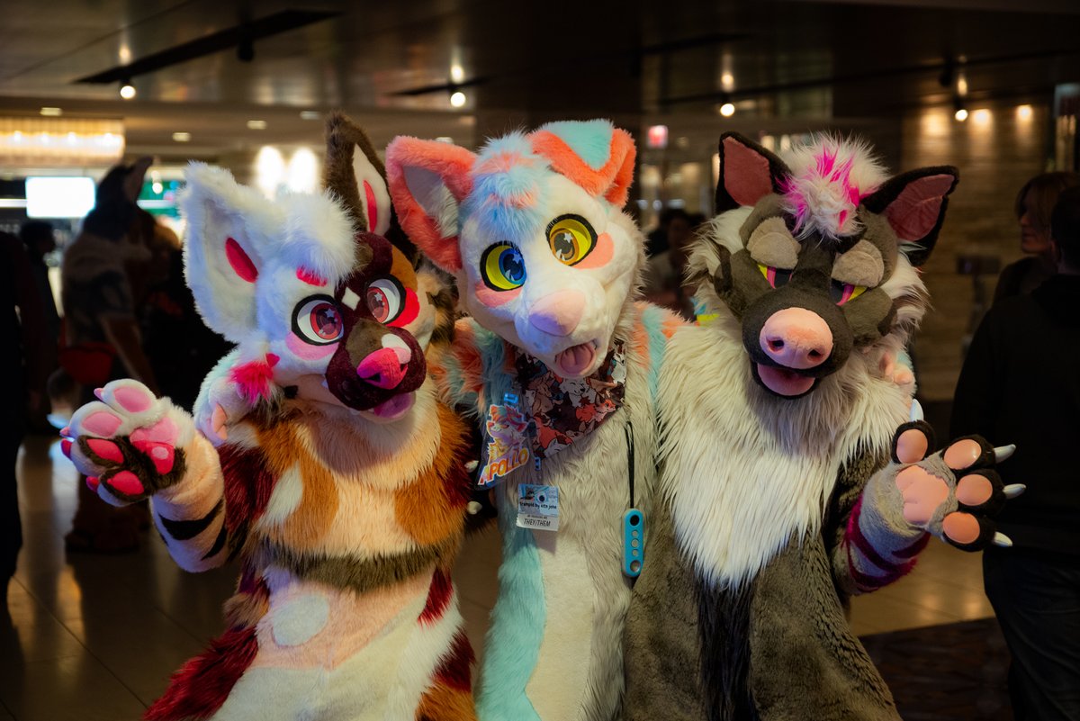 adelair_'s tweet photo. June (@PrismPaws), Apollo (@ApolloFolf), and Kava (@HyenaHours) #MFF2023 https://t.co/ljP9nOEbec