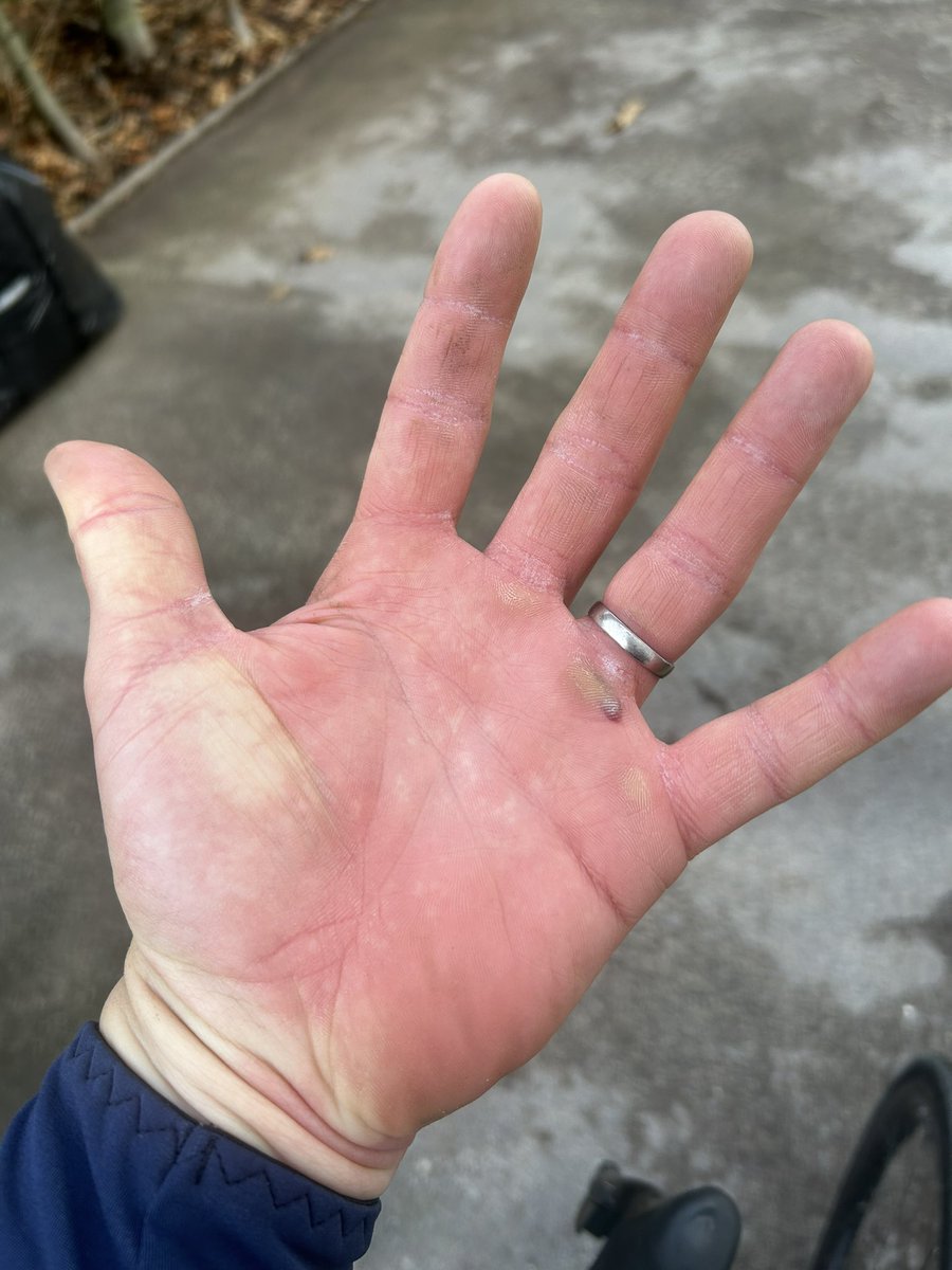 Florian Senechal-Staelens tweet media