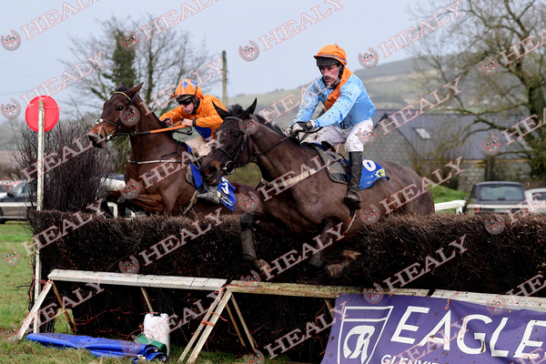 See all the action from DROMAHANE PTP in the Gallery at healyracing.ie