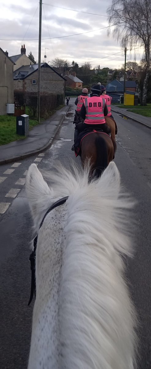 DuncFlatt's tweet photo. Just another day in the life of Solo! 🙄 https://t.co/GZB0RG2fEb