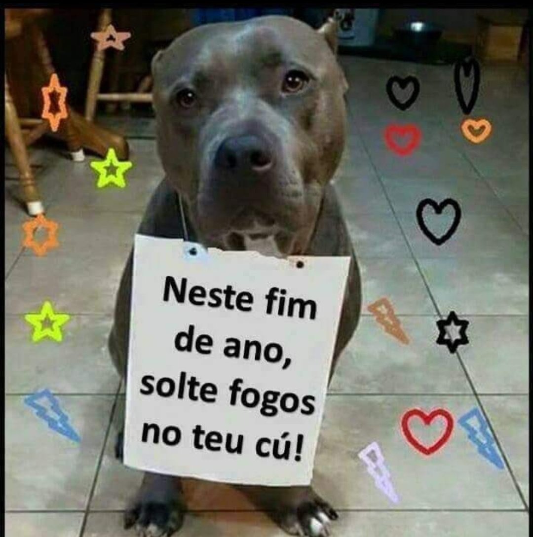 TucaAndrada3's tweet photo. https://t.co/wrVHBsJoP5