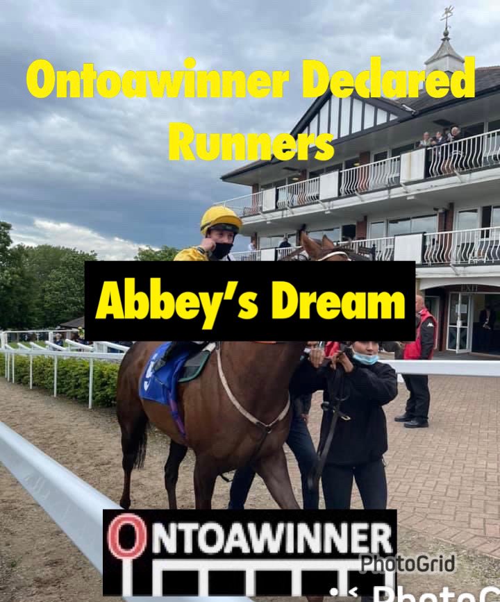 🏇One Runner Declared Sunday 31st Jan 🐎 Abbey's Dream 12:24 at Lingfield Jockey: @HollieDoyle1 Trainer: @Archie_Watson Wishing all the best to connections #HappyNewYear ontoawinner.net