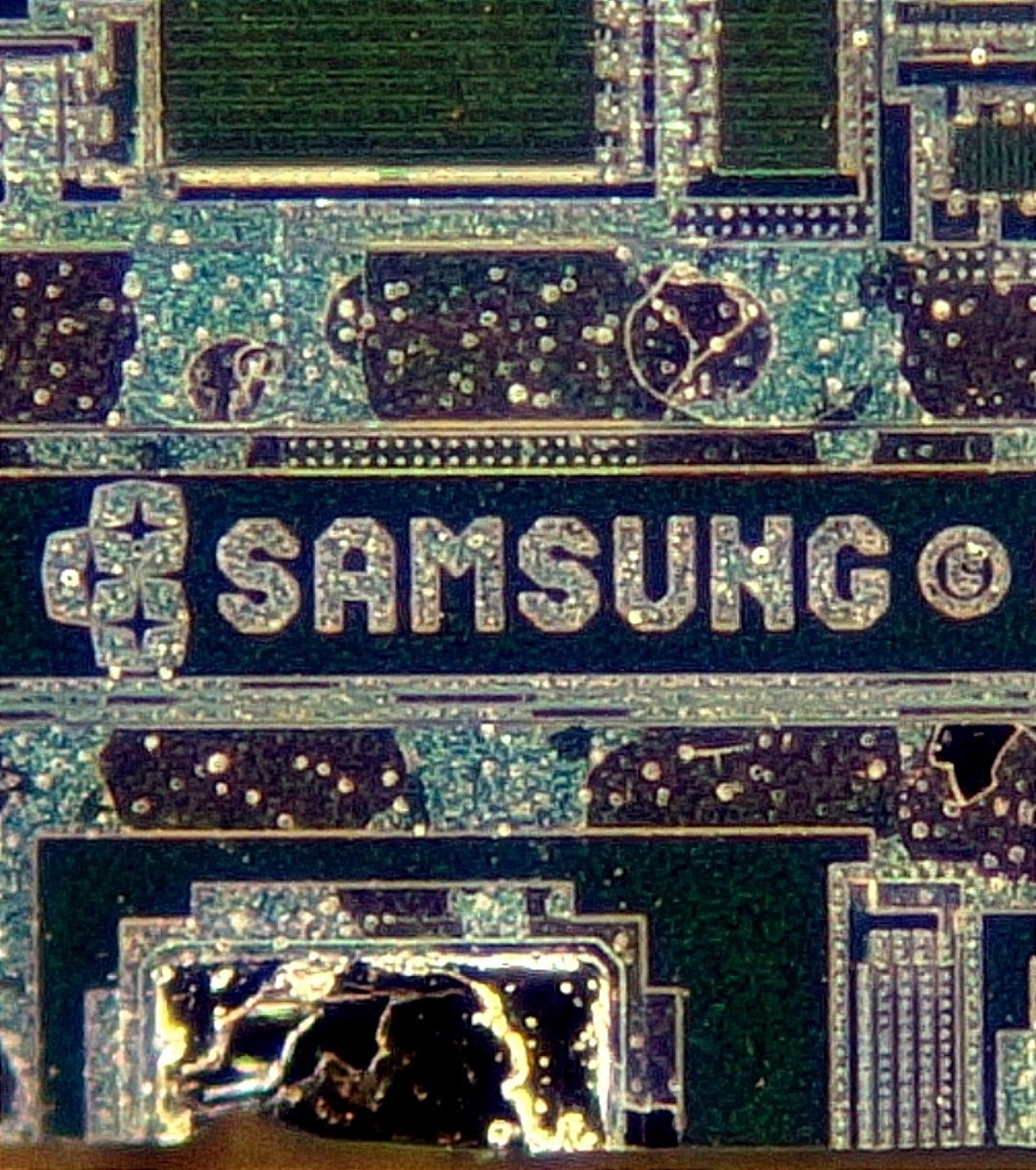 A. I. (Macro Photography)🔬 tweet media