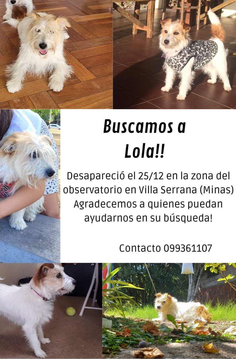 salocinuy's tweet photo. 📢 Se agradece difusión, desapareció el 25/12 en Villa Serrana, gracias! https://t.co/7BdhzyVfgT