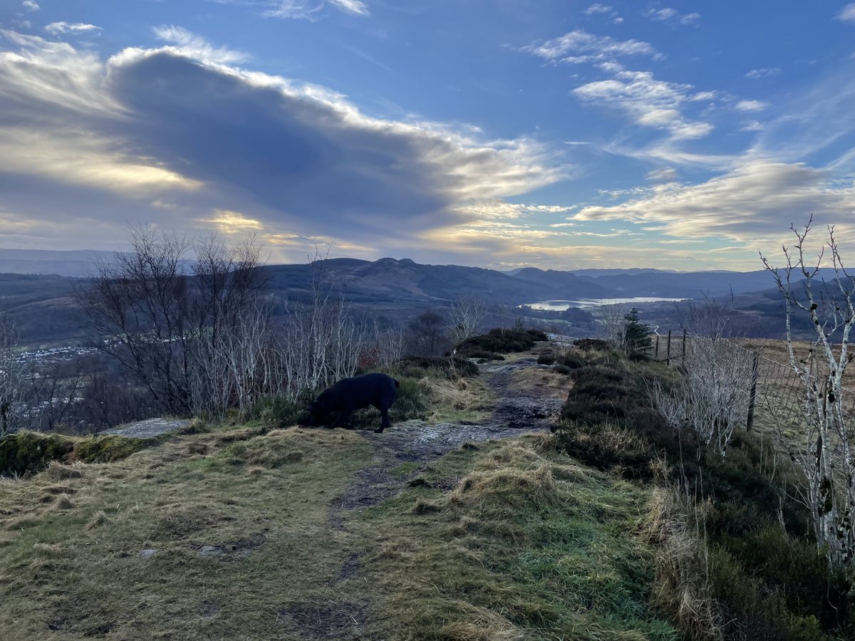 Susan_Venables's tweet photo. #Saturday #DogWalk  #CallanderCrags #Scotland. Finally saw the sun again, like being on top of the world. Beautiful, peaceful &amp; good for the soul as not missing the hustle &amp; bustle of work, if I’m allowed🏴󠁧󠁢󠁳󠁣󠁴󠁿 to say that! #StaySafeStayHealthy everyone 🌞🐾🐾🏔️🙏🙂🚶🏻‍♀️ https://t.co/JpwCA7uxG2