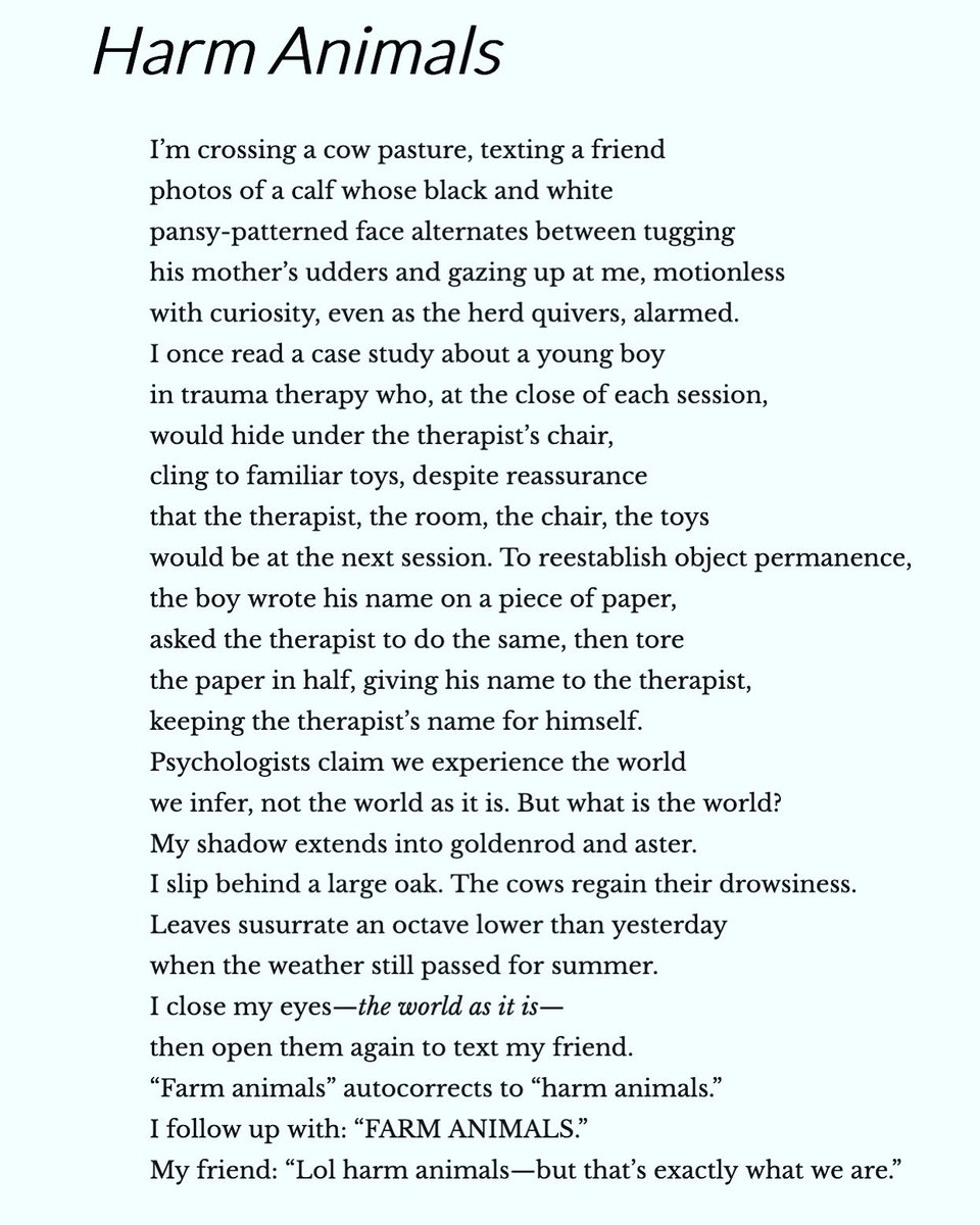 Thank you to @poetrynw for publishing this poem at the beginning of December. ❤️