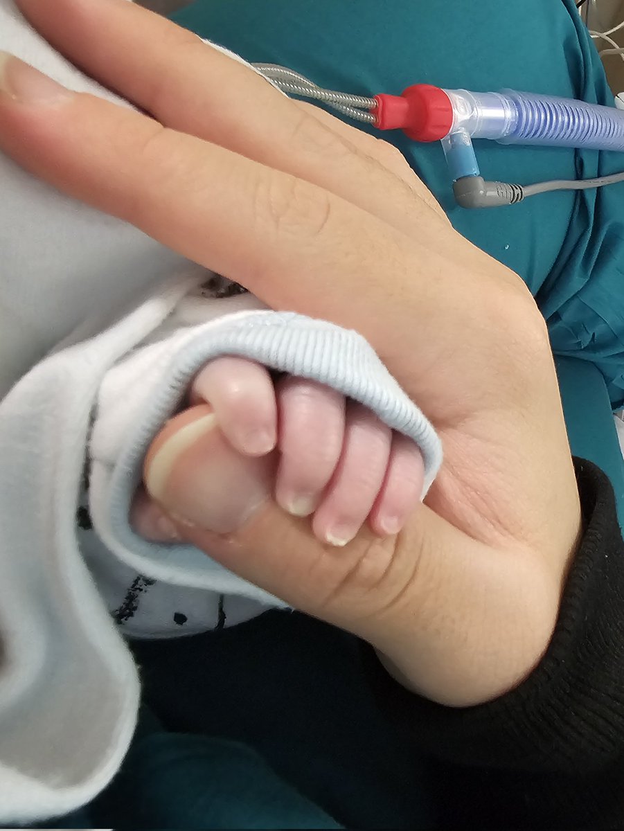 buildyourblue's tweet image. this incredible feeling, seeing these miniatures becoming a living thing on their own and finding new way to help their neurons survive, I would be very happy to keep having it in 2024, too.

2024 WITH BUILD JAKAPAN
#NYresolutionWithBuild
@JakeB4rever