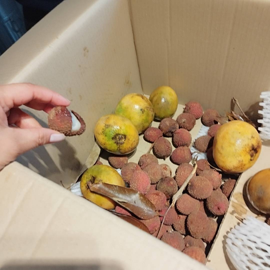 Camille Pierret tweet media