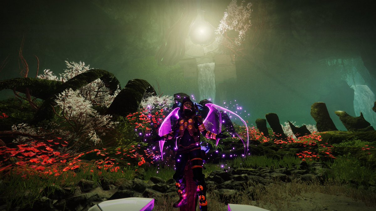 sc0nesandc0ffee's tweet photo. SOLO FLAWLESS IS MINE. 😈
On to legendary.
#starcrossed #soloflawless #destiny2 https://t.co/BPf8WuQAaR