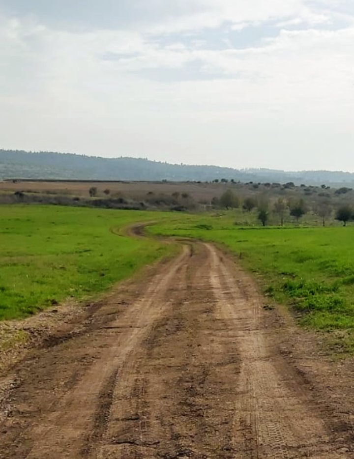 מכורה שלי, ארץ נוי אביונה..
עלובה שלי, אביונה ומרה..
רק אחת בעולם את שבחך אמרה 
וגנותך, חרפתך כל היתר 
ועל כן אלך לכל רחוב 
לכל שוק וחצר וסמטה וגינה
מחורבן חומותייך כל אבן קטנה 
אלקט ואשמור למזכרת
ומעיר לעיר, ממדינה למדינה
אנודה עם שיר ותיבת נגינה
music.youtube.com/watch?v=jrZ9x1…