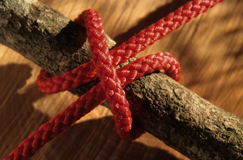 Do you know what knot this is and in which application you would use it? #camping #bushcraft #survival