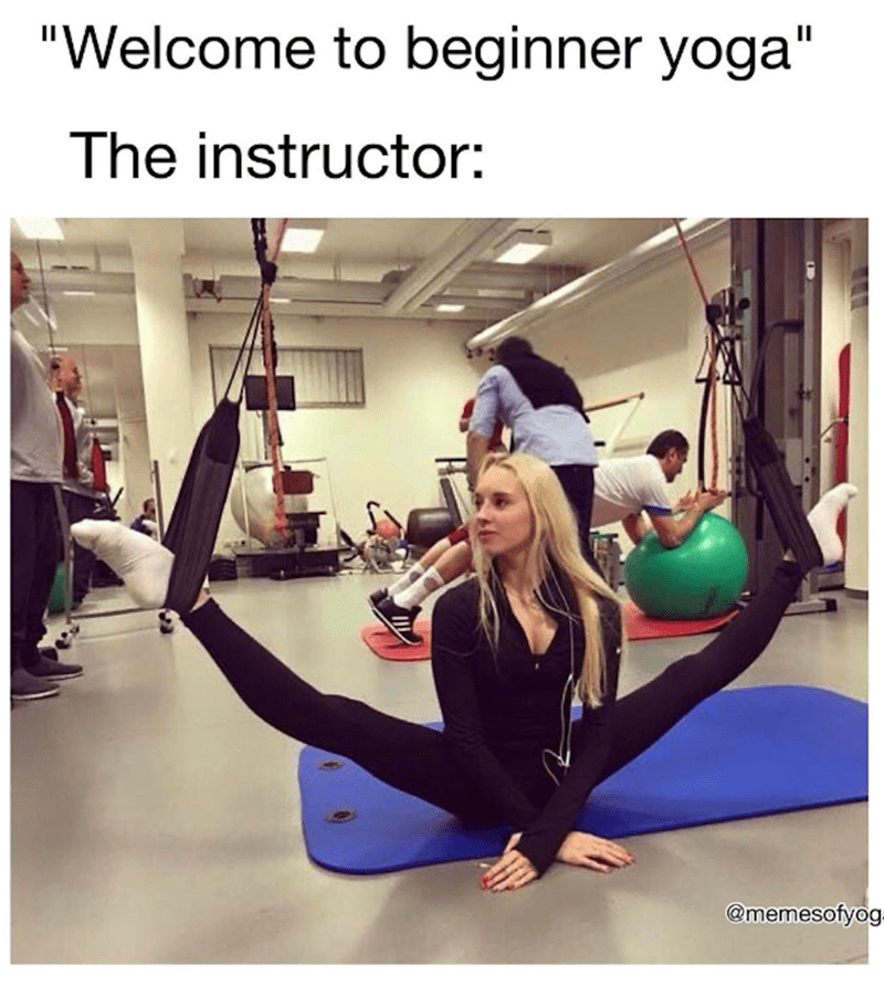 tosharus2's tweet photo. Begin the yoga. @Yogapetz #Well $WELL https://t.co/7ltyvOnMbs