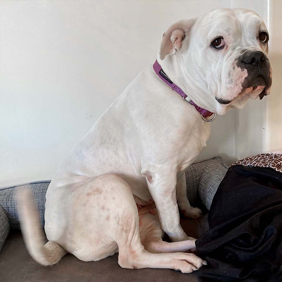 Lost Our Home tweet media