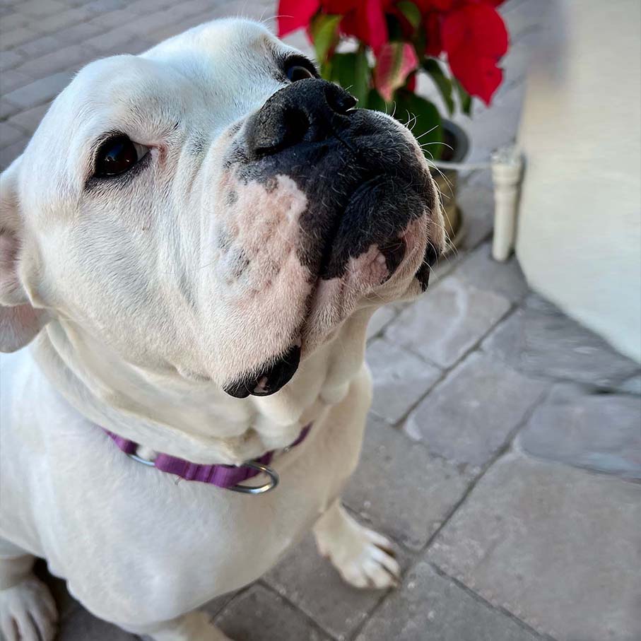 Lost Our Home tweet media