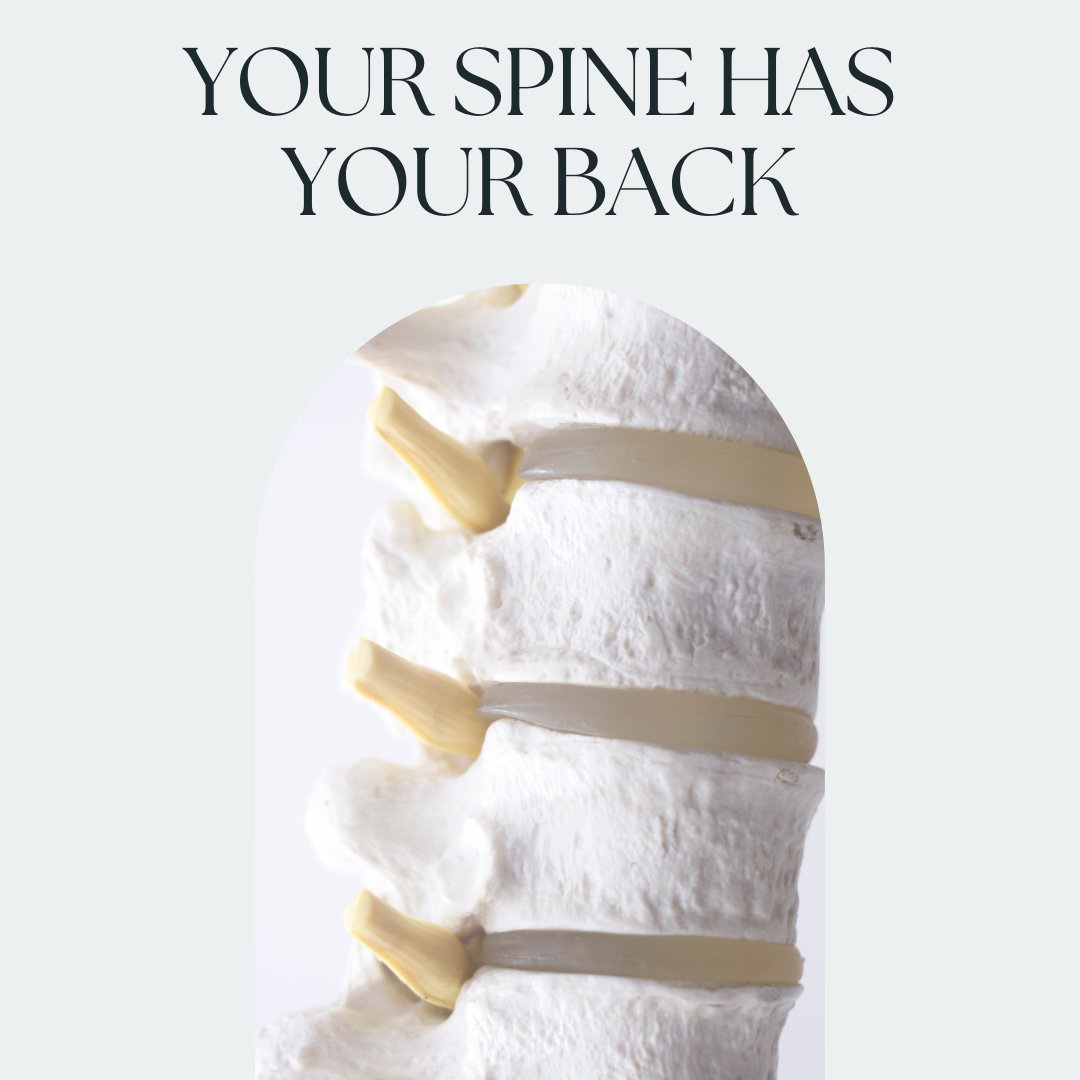 drviolacanhelp's tweet photo. Next time you’re feeling sad just remember how happy your spine is to support you! Keep smiling with chiropractic care 🤩

#chiro #chiropractic #chiropractor #holsitic #health #healthcare #vertebrae #spine #SpinalCare https://t.co/U30cdFBkEh