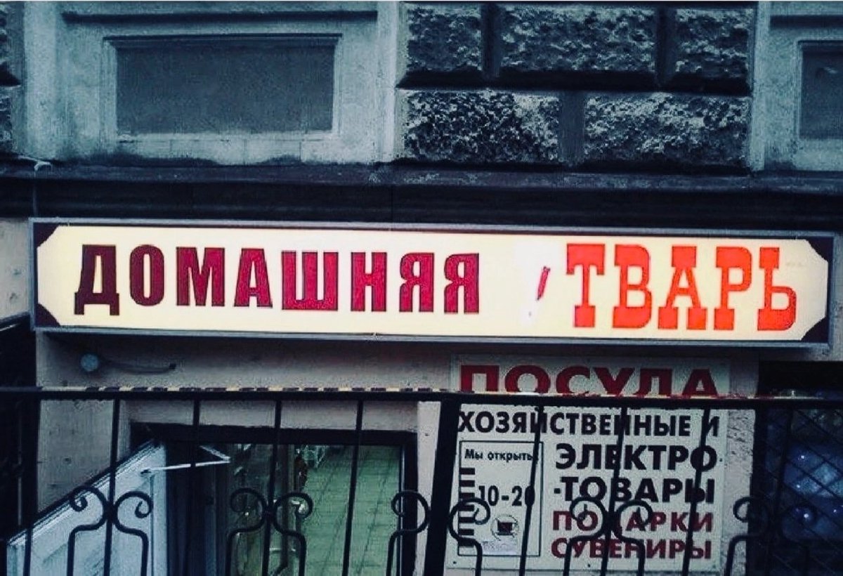 #19DAYS

Все: у меня дома кот есть; а у меня собака; у меня хомяк
Шань, живя с Тянем: уткнитесь, у меня есть