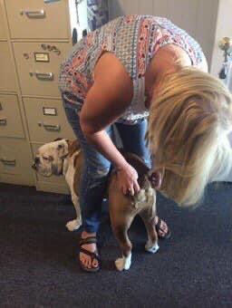 metalfabgirl's tweet photo. Happy heavenly birthday my Sam Sam. You wear my best friend through it all! #Sampson #DamnDog https://t.co/2IvoEkWgSU