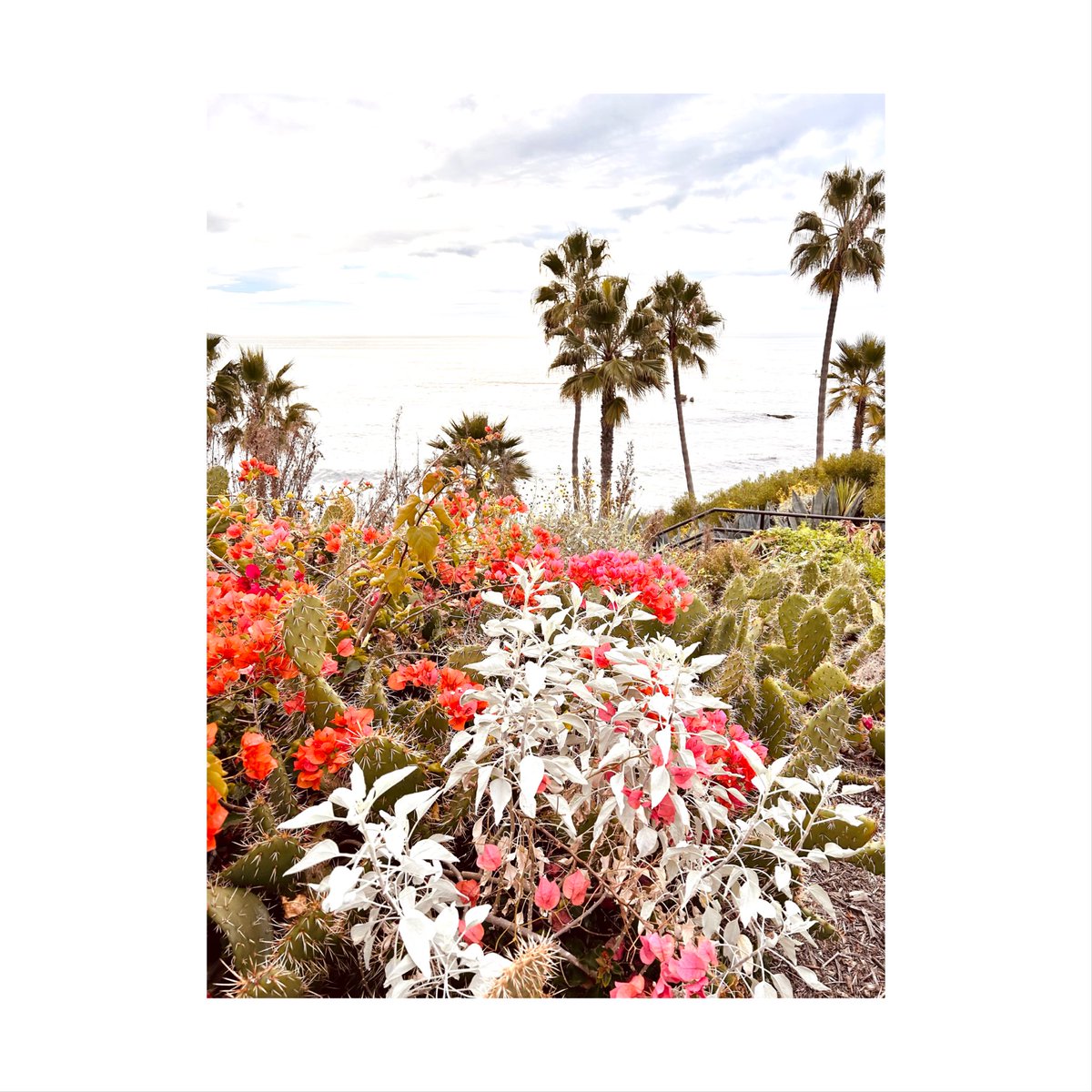 keeplefttravel's tweet photo. Laguna love https://t.co/pWUDL7TTG1