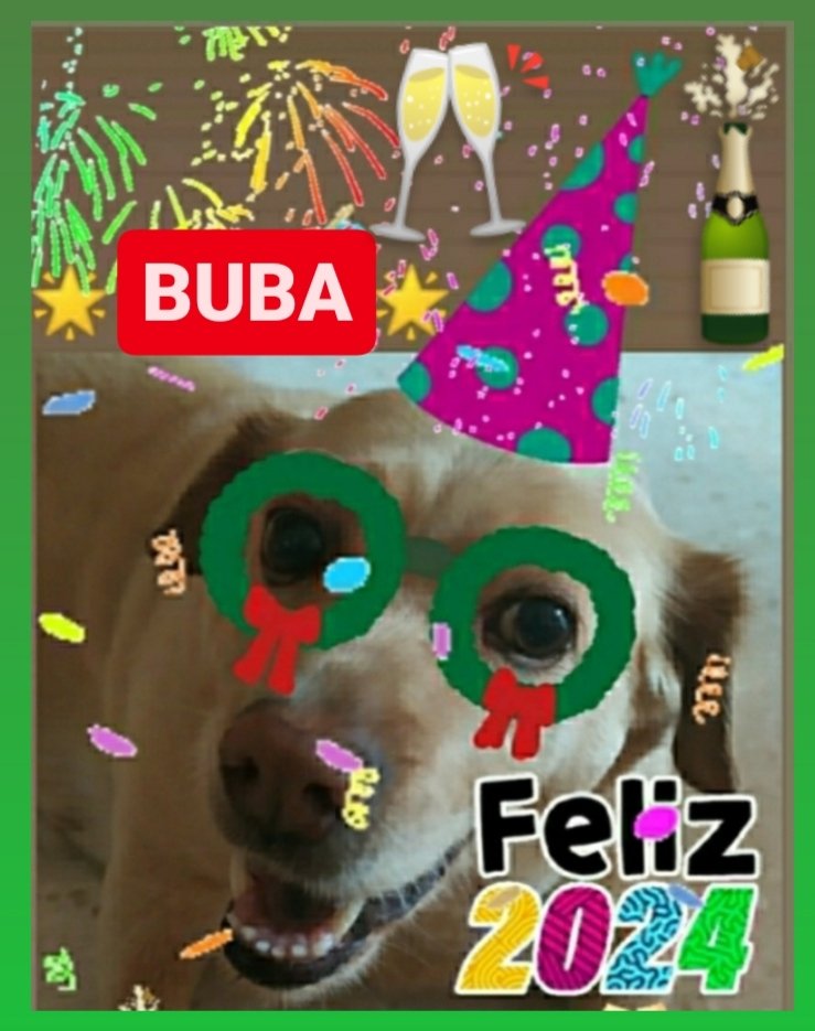 Mi perrita Buba y yo, deseamos a todos, muy especialmente a nuestros seguidores: UNA MAGNÍFICA NOCHEVIEJA Y UN MARAVILLOSO 2024 . 🙋‍♂️🥂🍾 SIGAMOS TUITEANDO EN 2024😉🤜🤛🥂🍾🙋‍♂️ 👇👇