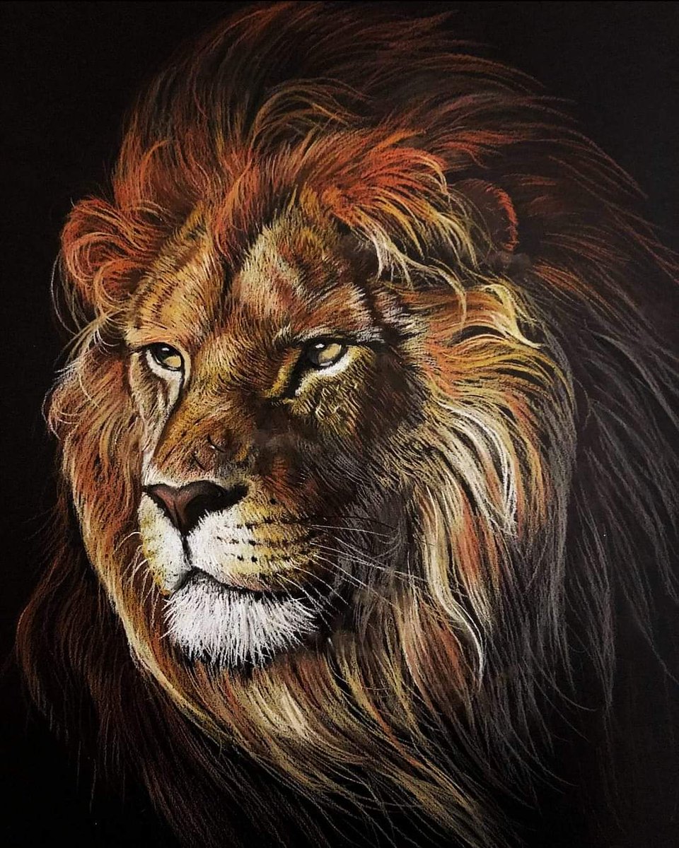 The confident Lion king 🐾 🦁 
Acrylics painting on canvas
#lionking #wildanimals #loveanimals #Elseedart #africanheritage