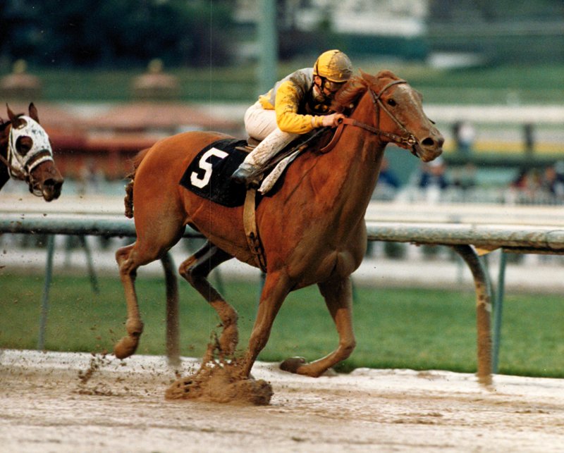 1989年🇺🇸ラカナダSでG1・7勝目を挙げた超一流牝馬グッバイヘイロー