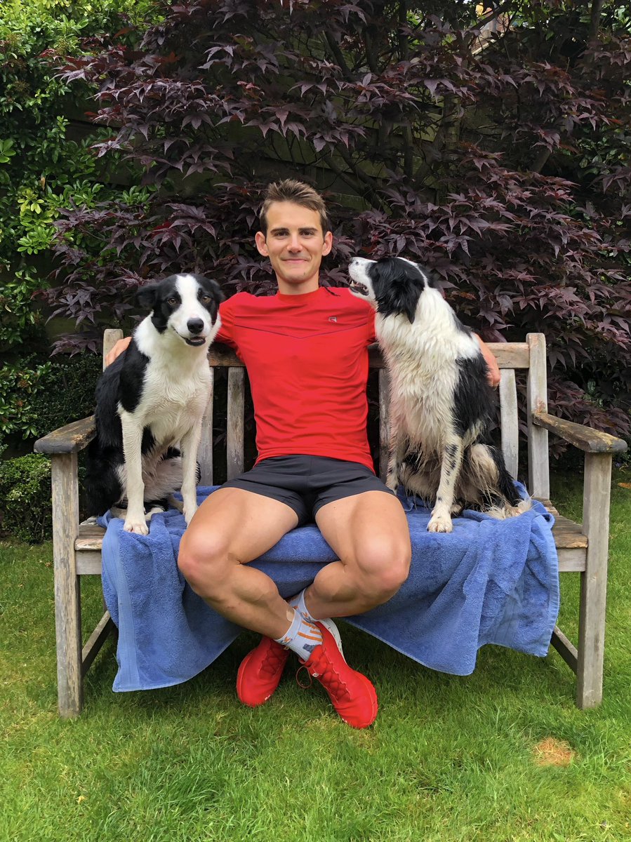 Sebastian Batchelor tweet media