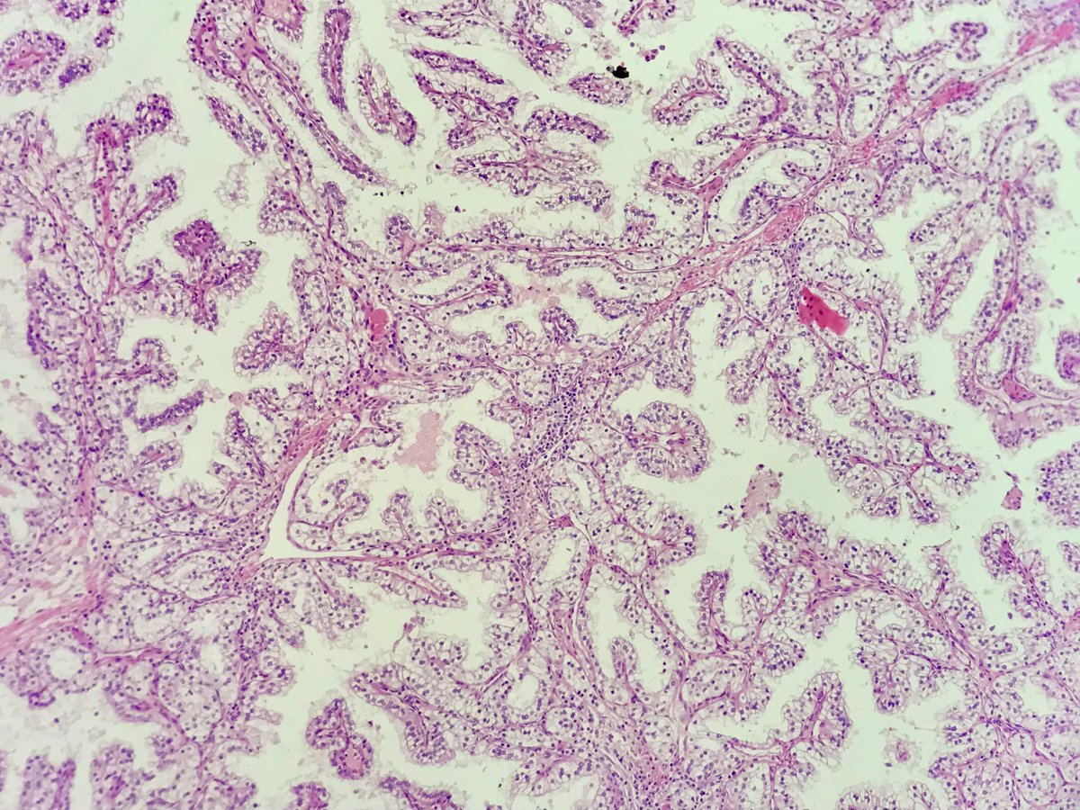 Mahabub Alam tweet media