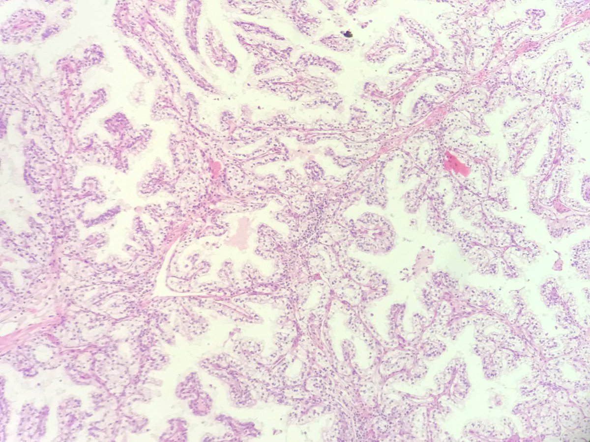 Mahabub Alam tweet media