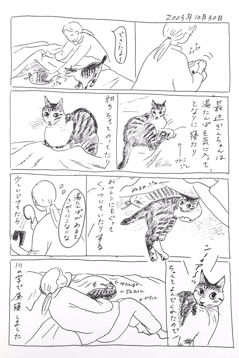 2023/12/30のぎんちゃん #今日のぎんちゃん