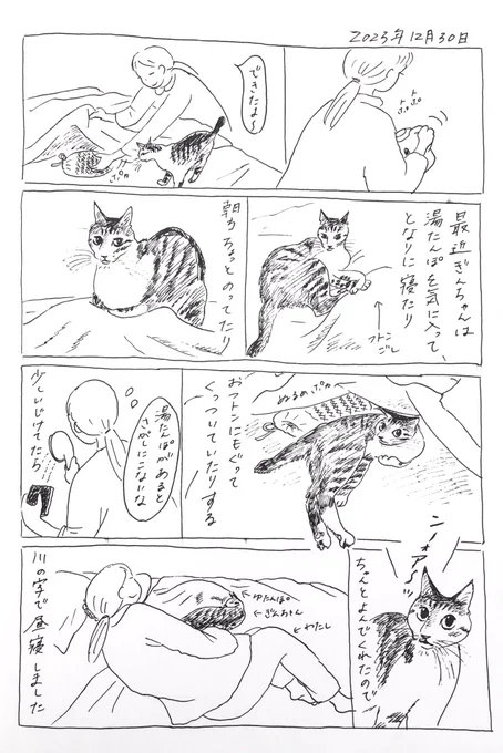 2023/12/30のぎんちゃん #今日のぎんちゃん