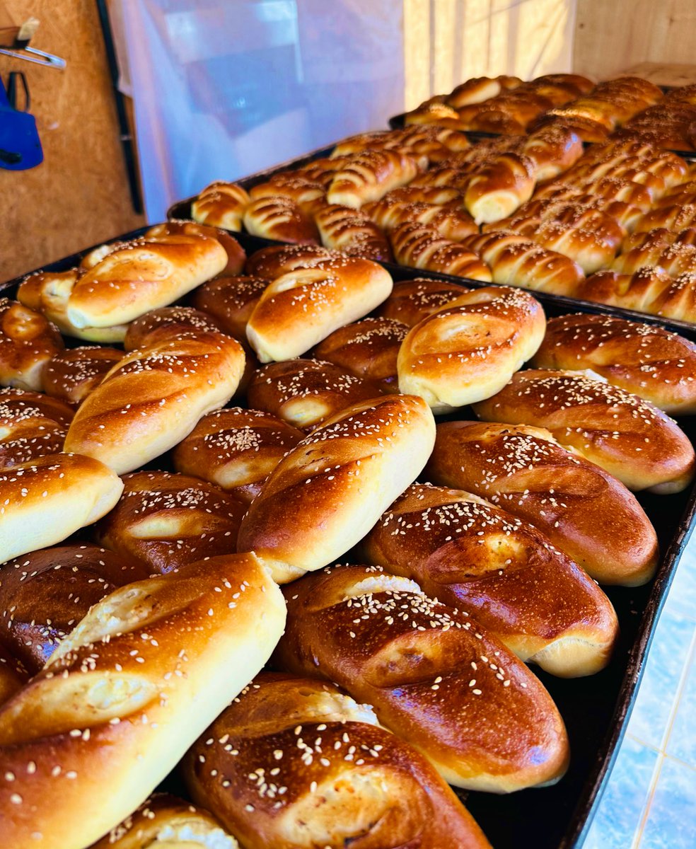 A drive out to our favourite village bakery to get fresh breads and pick some citrus fruits 🍊🥰 
I ❤️ Karpaz 

#foodie #northcyprus #culture #cypriot #islandlife #islandgirl #weekendmood