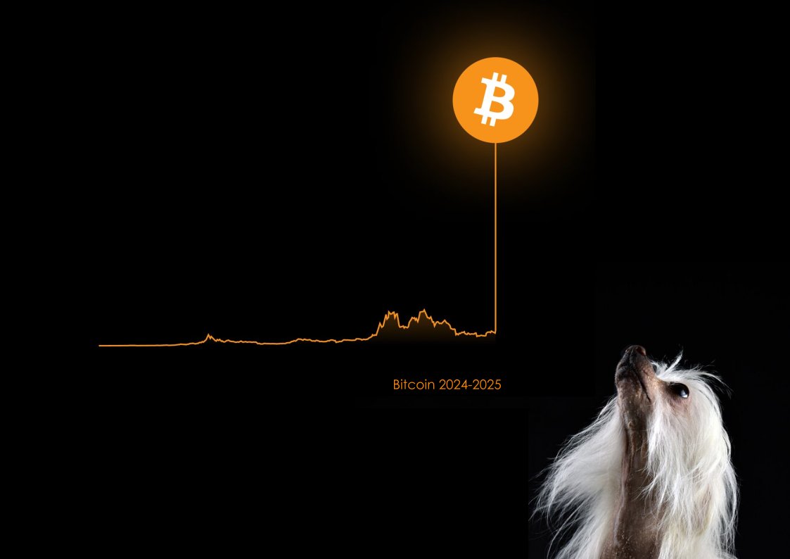 BillyBoyCrypt's tweet image. Bull btc🚀⚡️🌙🧡