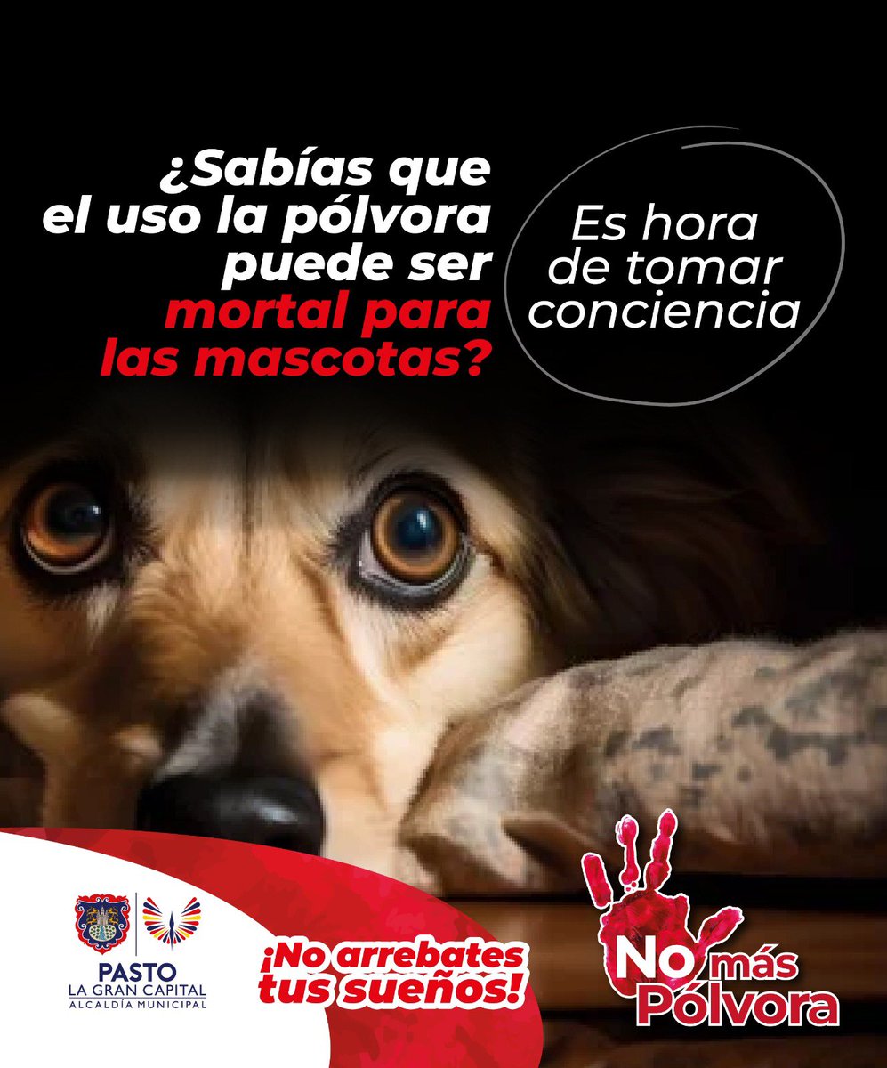 secsaludpasto's tweet photo. ¿Sabías que los estallidos de pólvora causan miedo y estrés en nuestras mascotas y aves? 

Este año, celebremos sin poner en riesgo su bienestar. ¡Es hora de tomar conciencia y garantizar una temporada tranquila para todos! #NoMásPólvora #NoArrebatesSusSueños https://t.co/fJlBvfOlCM