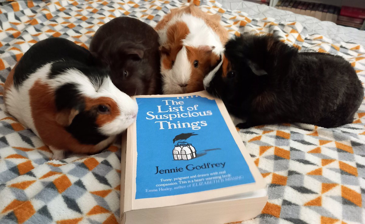 The #GuineaGirls agree with my choice of #BookOfTheYear #2023 #TheListOfSuspiciousThings by @jennieg_author published in #February #2024 but I couldn't find a better read! It was phenomenal get it preordered #5Stars 5⭐️⭐️⭐️⭐️ #GuineaPigsVote #BookX #BookTwitter