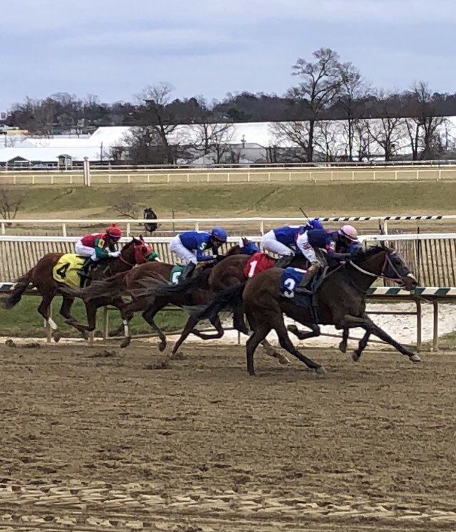 In the Dance, 2YO <a href="/MarylandTB/">Maryland Thoroughbred</a> gelding by Imagining, drops from allowance to $40K claimer at 1 1/16M and rallies under <a href="/ACrispin86/">Alexander Crispin</a> to win <a href="/LaurelPark/">The Maryland Jockey Club, Inc.</a>. Trained by <a href="/JRobbRacing/">John J Robb Racing</a> for Curio Racing Group.