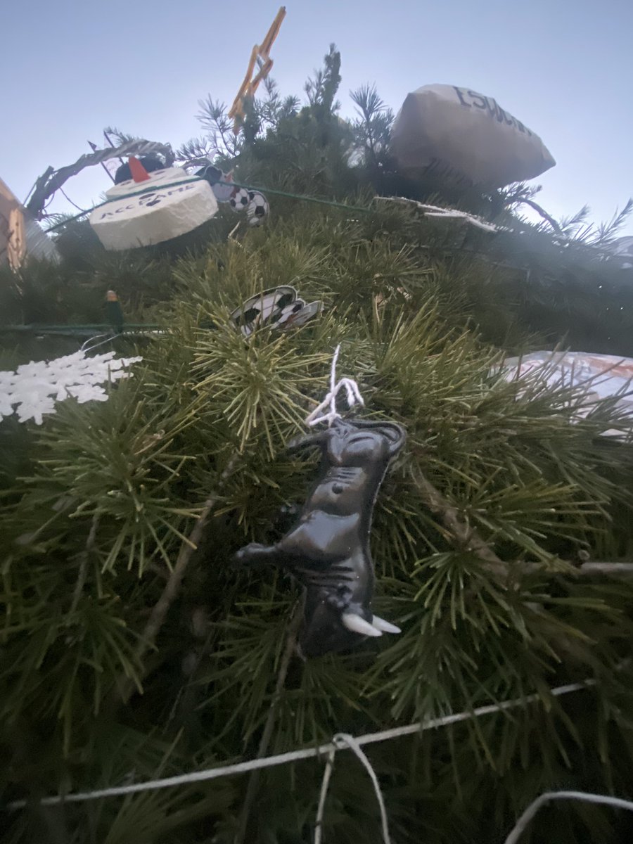 Un año más mi poblao y sus mágicas y bonitas bolas del árbol 🤌🏼🍝