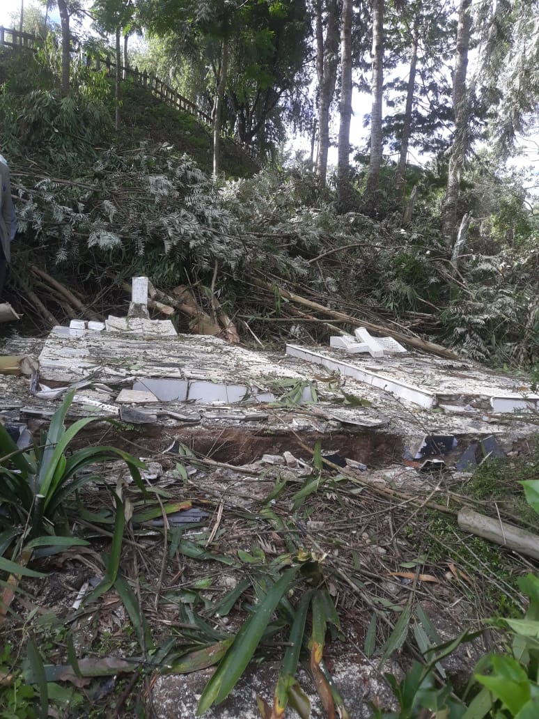 Looks like this is happening all over Murang'a County. Just last week, trees being felled at Kiamuturi Secondary School for sale fell into the neighbouring church compound and even damaged some graves there.
@HonTuya urgently requesting assistance to put a stop to this.
