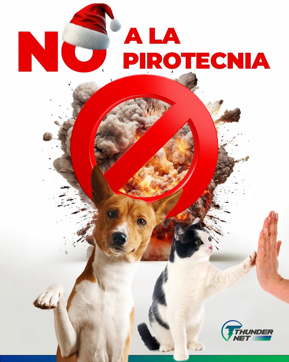 thundernetvzla's tweet photo. En esta temporada festiva, recordemos que la alegría no debe causar sufrimiento; optemos por celebrar de una manera que proteja a nuestros amigos de cuatro patas, la vida silvestre y aquellos con sensibilidad a los ruidos fuertes.

Digamos no a la pirotecnia y sí a una celebración más compasiva y segura para todos. 

¡Hagamos que estas fechas sean verdaderamente especiales!

#Thundernet #NoALaPirotecnia
#ThundernetTVGO #InternetVeloz #pet #puppy #dog #puppylove #dogs #cutedog #petfriendly