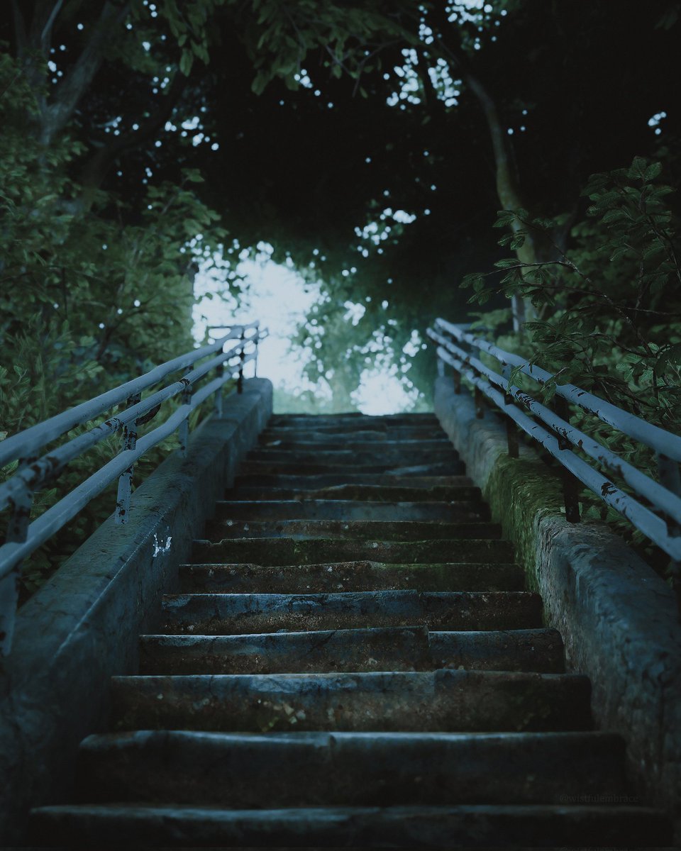 silversgarden's tweet photo. The Last Of Us part II 🌿 https://t.co/JWwG6u8w5M
