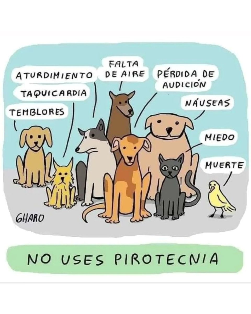 Policía Local Arroyomolinos tweet media