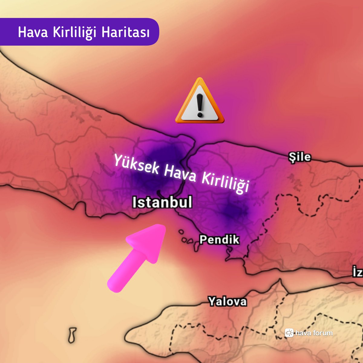 Hava Forum tweet media